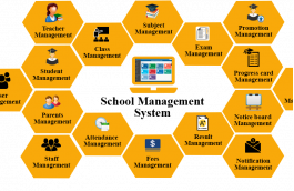 image icon