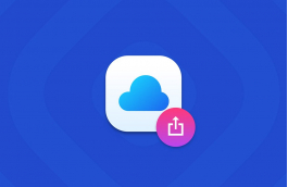 icon