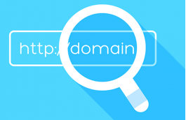 image icon